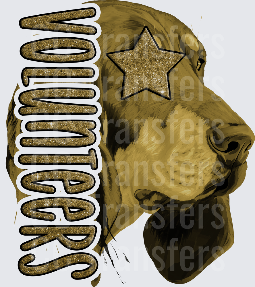 Volunteers Glitter Gold Hound Dog Star Eye (DTF)