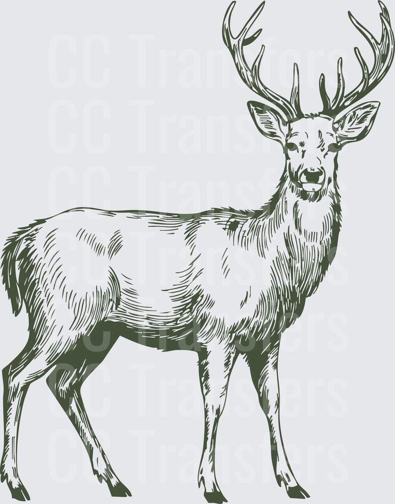 Vintage Sketch Buck Whitetail Deer Full Body Illustration (DTF)