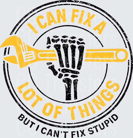 I Can Fix A Lot Of Things But Not Stupid Skeleton Wrench (DTF)