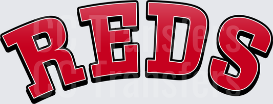 Arched Bold Red Letters Sports Team Wordmark (DTF)