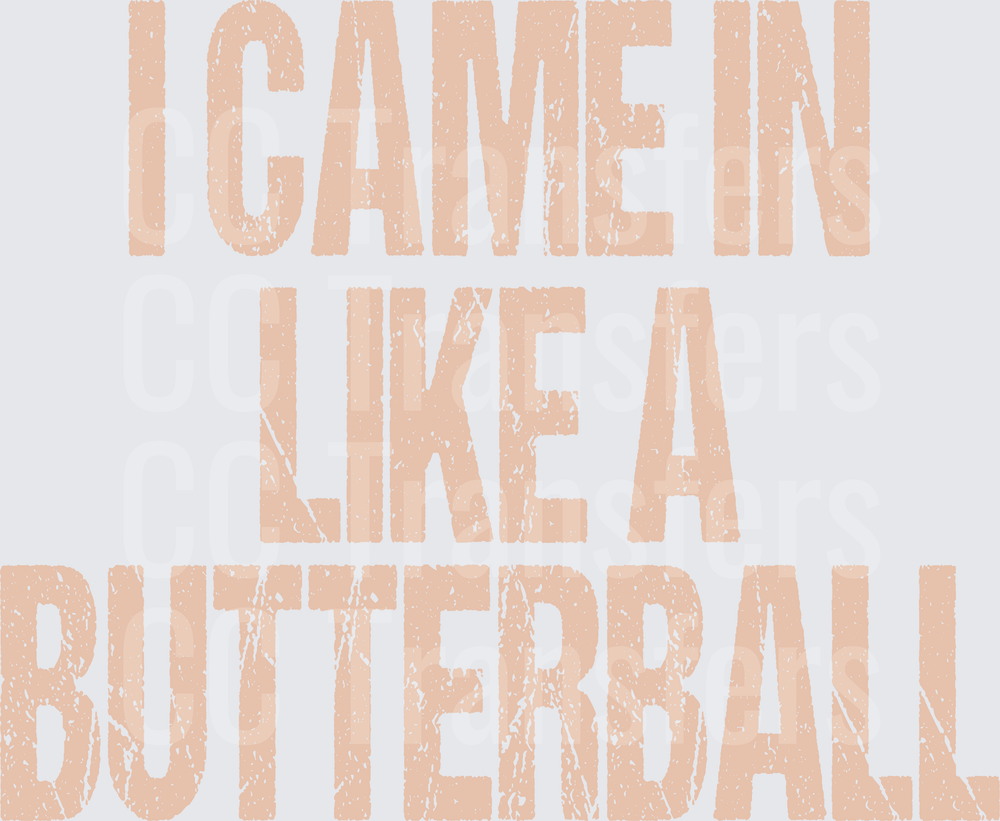 I Came In Like A Butterball Distressed Text (DTF)