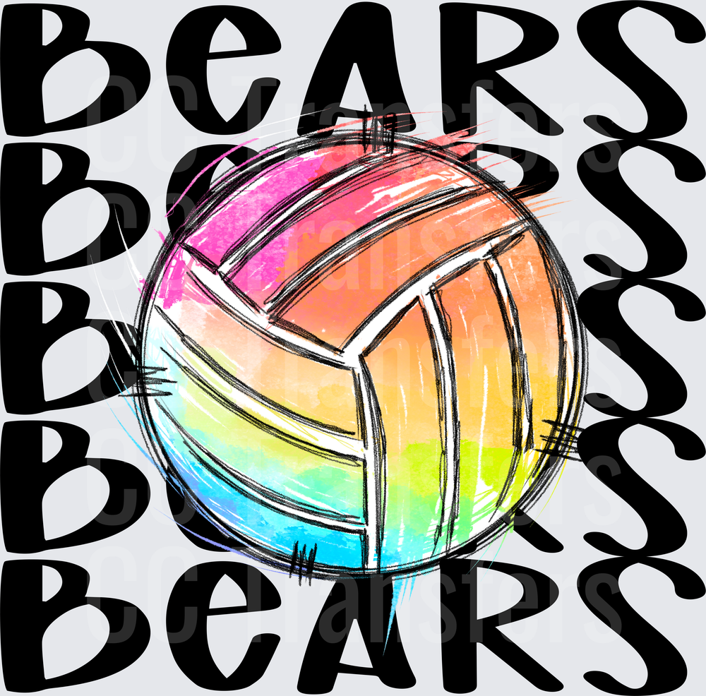 BEARS VOLLEYBALL (DTF)