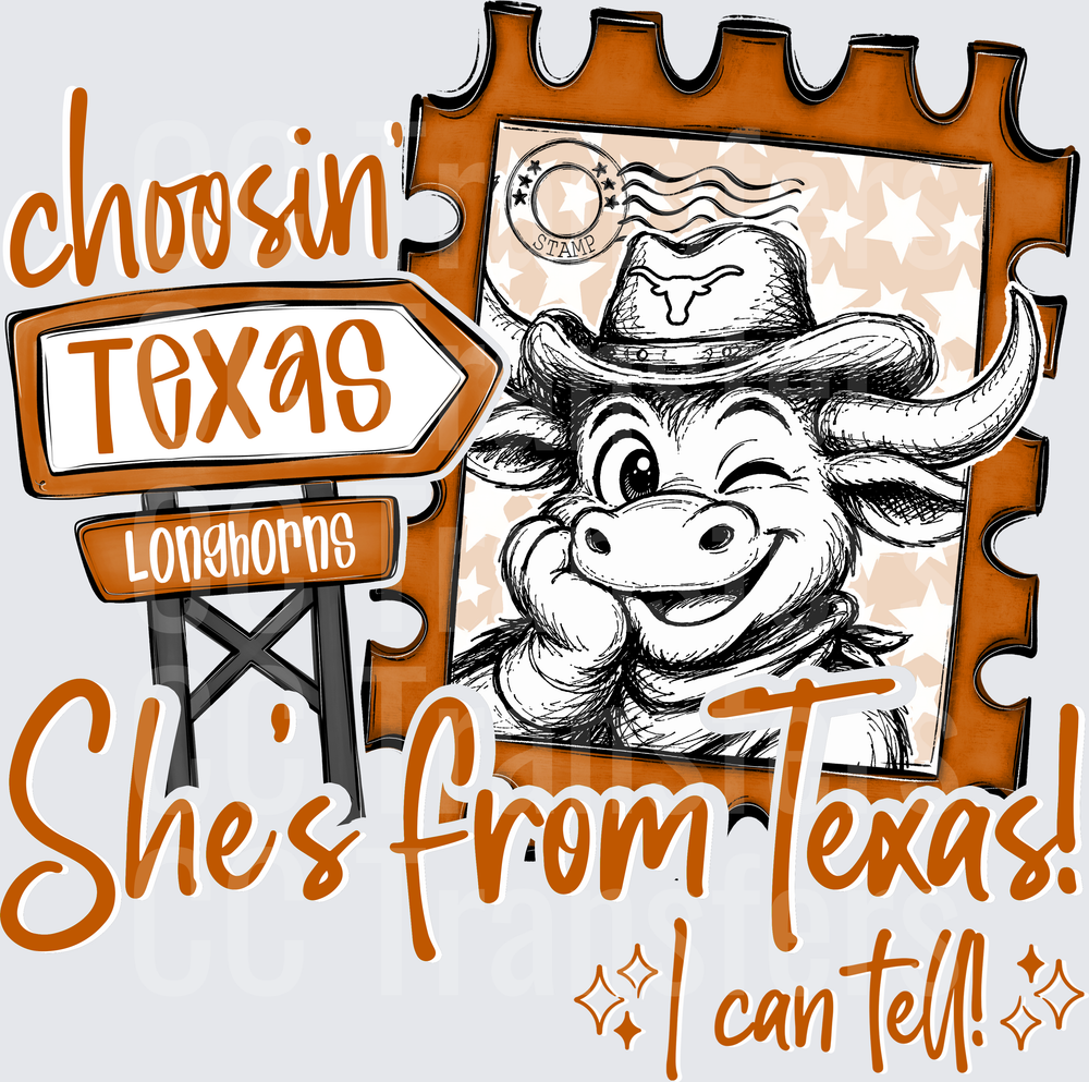 Choosin Texas Longhorns She's From Texas I Can Tell (DTF)