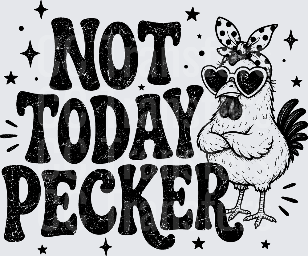 Not Today Pecker Sassy Chicken Heart Sunglasses (DTF)