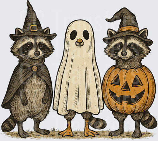 Halloween Raccoons Duck Trick or Treat Costumes (DTF)