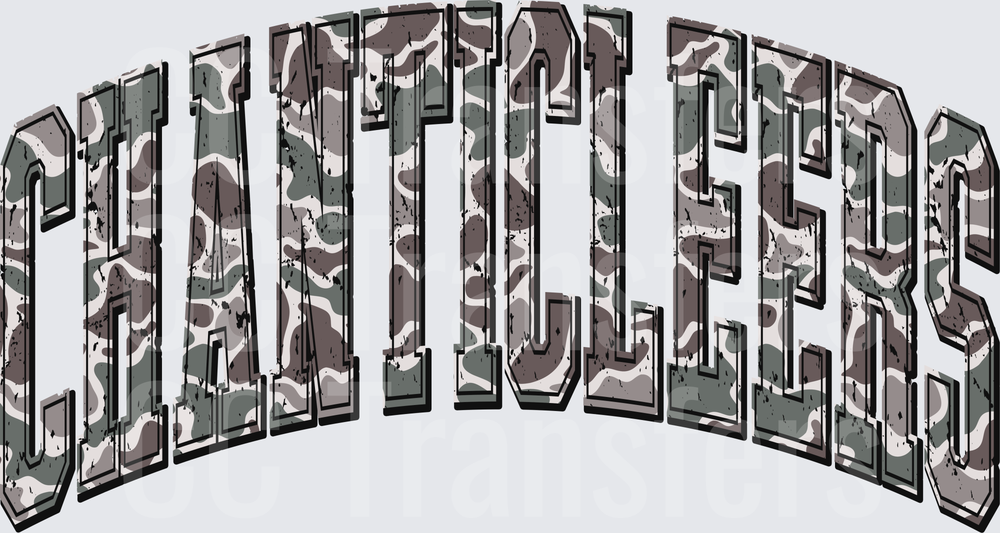 Chanticleers Arched Camo Distressed Bold Varsity Letters (DTF)