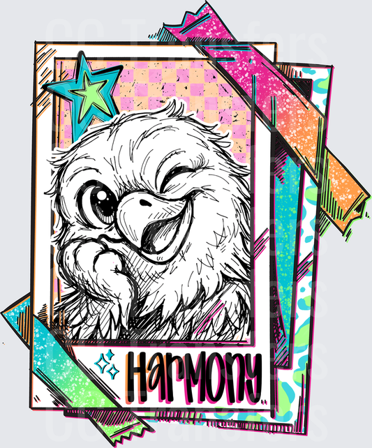 Fluffy Winking Owl Retro Polaroid Card Harmony (DTF)