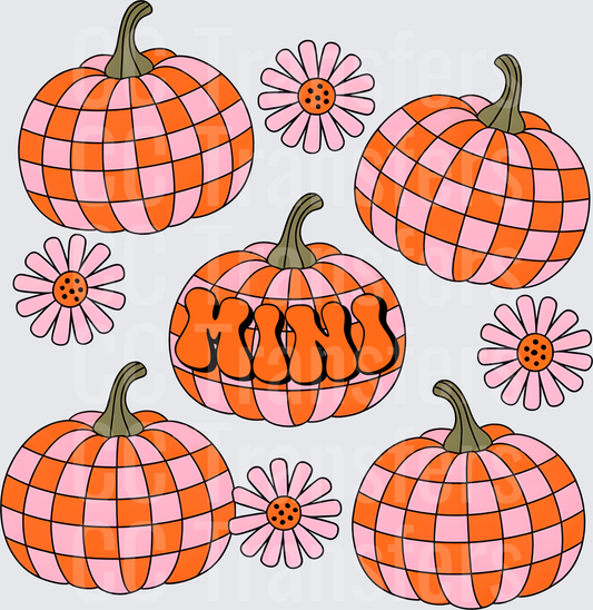Retro Checkered Mini Pumpkins Pink Daisy Flowers (DTF)