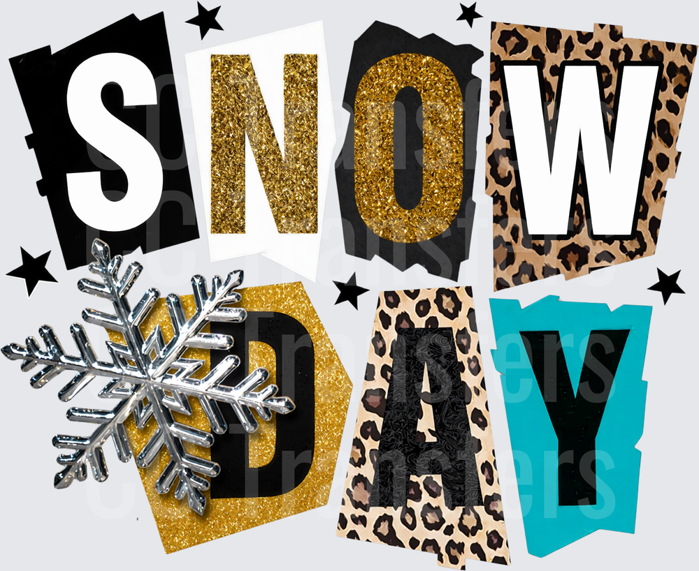 Snow Day Leopard Print Gold Glitter Snowflake Letters (DTF)