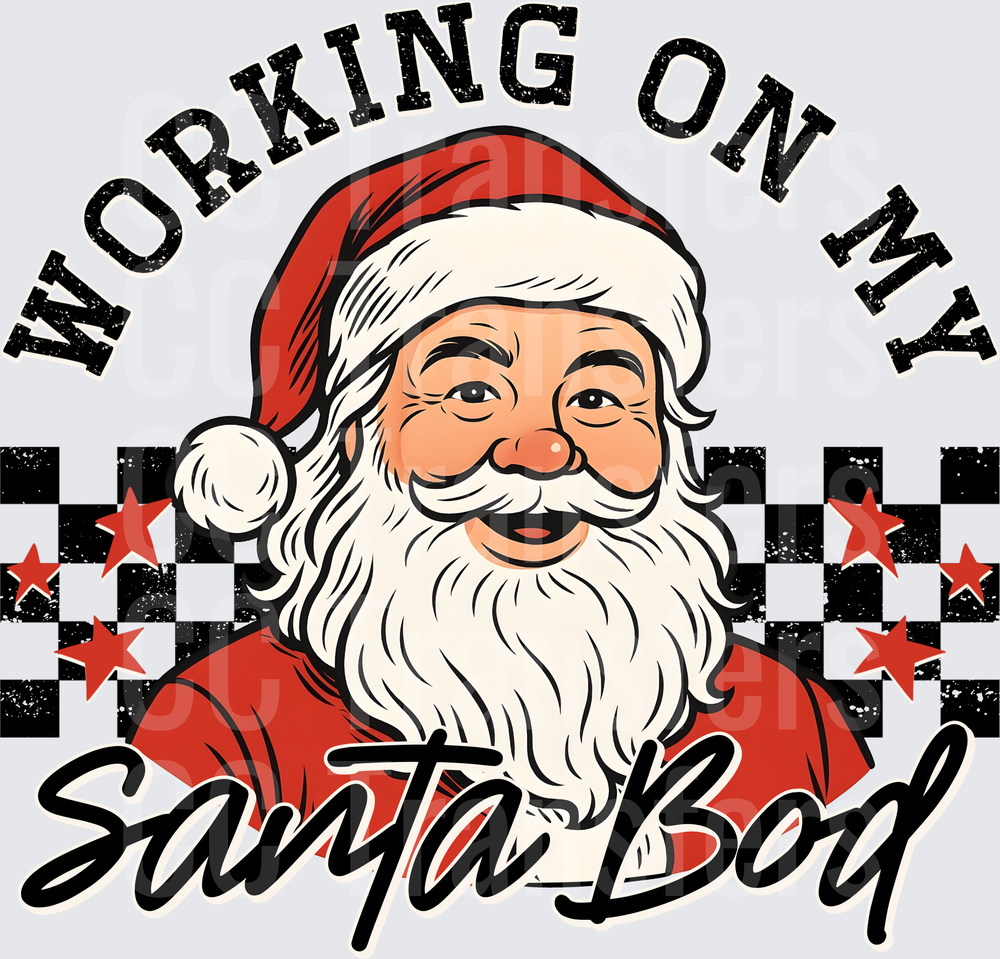 Working On My Santa Bod Retro Checkered Santa (DTF)