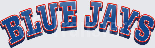Blue Jays Arched Bold Letter Wordmark Design (DTF)