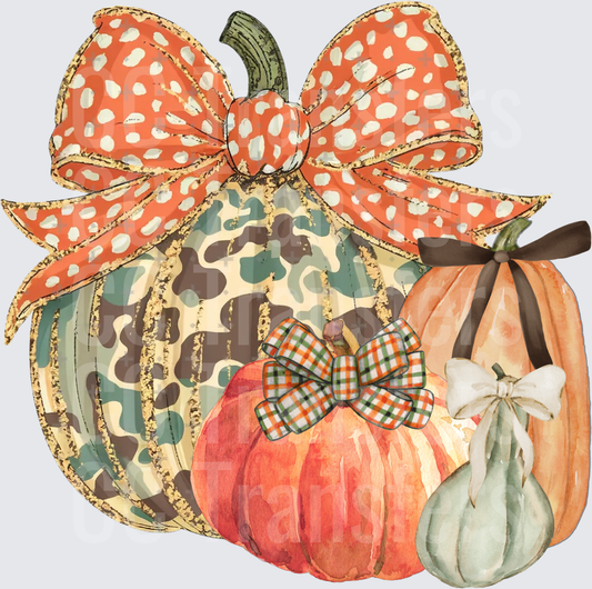 Boho Pumpkin Cluster with Decorative Bows Fall (DTF)