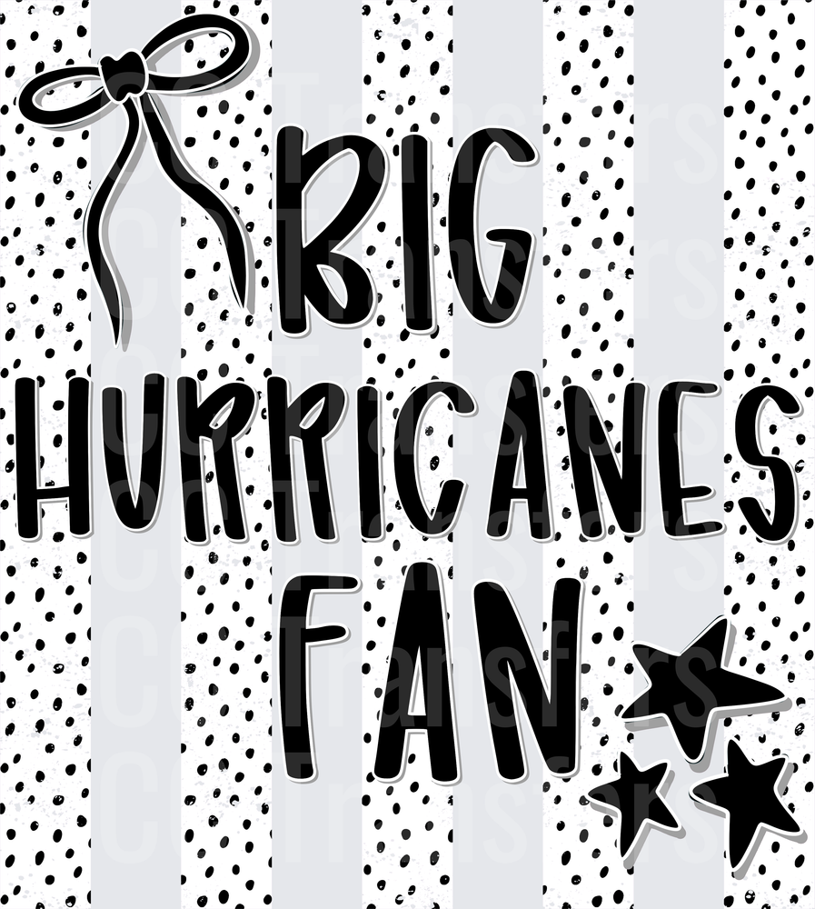 Big Hurricanes Fan (DTF)