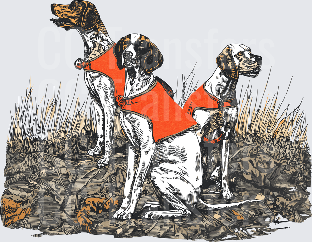Three Bird Dogs in Orange Safety Vests Field Scene (DTF)