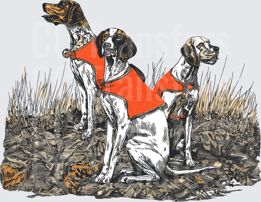 Three Bird Dogs in Orange Safety Vests Field Scene (DTF)